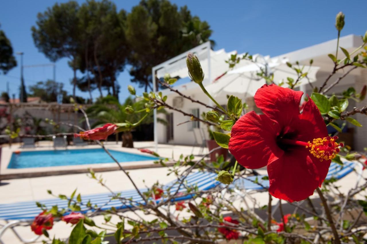 Villa Las Nieves 17Pers El Albir Dış mekan fotoğraf